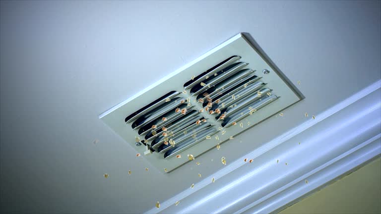 Best Best Air Duct Cleaning Company  in Laurium, MI